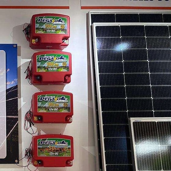 Impulsores para cerca eléctrica Pegaso de 12 voltios en la tienda
